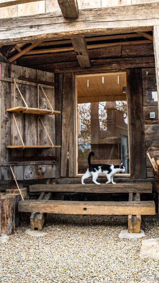 Iz De Maramures Rural Hotel (Adults Only) Surdesti  Luaran gambar